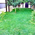 Tena Apartman Zára