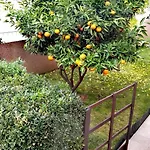 Apartman Tena