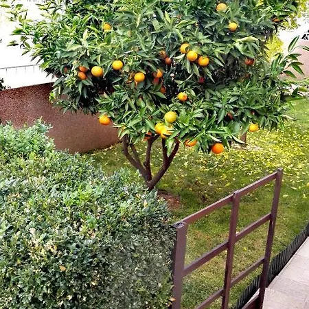 Apartman Tena